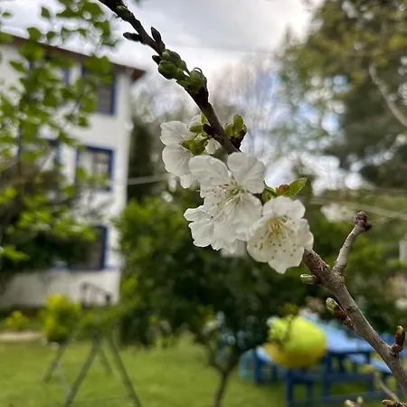 Sakliderebutikotel Hotell Edremit (Balikesir)