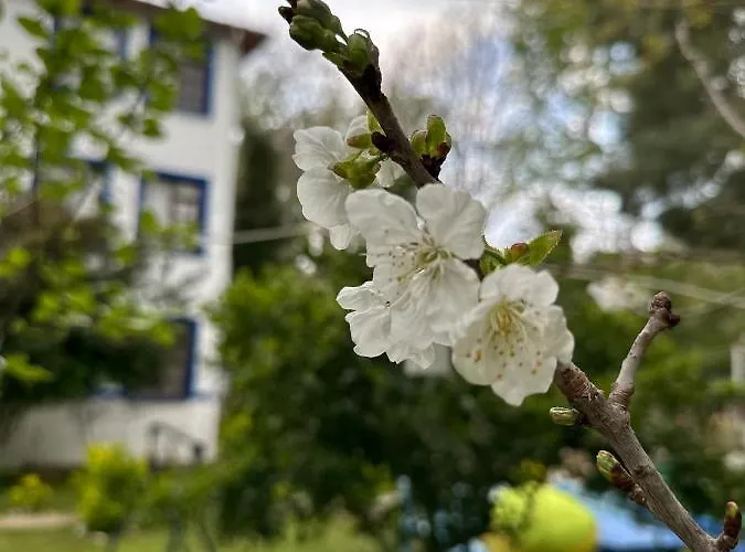 Sakliderebutikotel Hotel Edremit (Balikesir)