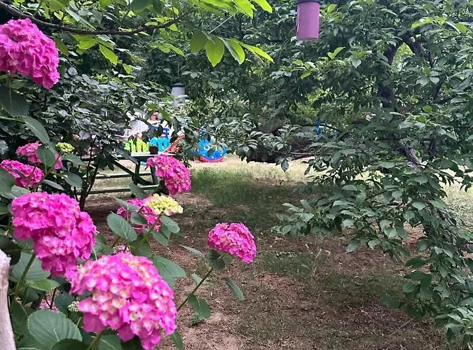 Sakliderebutikotel *