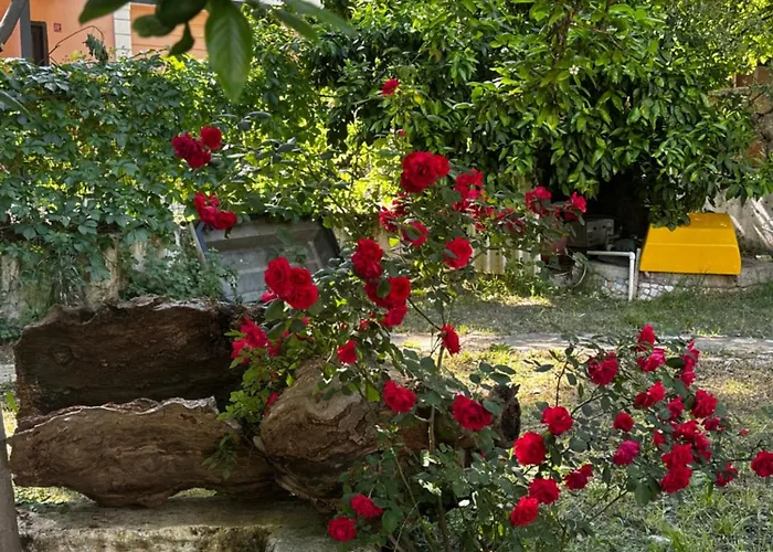 Sakliderebutikotel * Edremit (Balikesir)