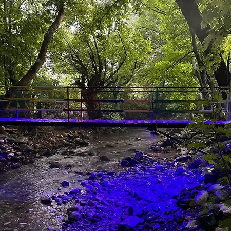 Sakliderebutikotel Hotel *