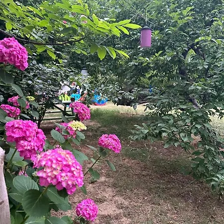 Sakliderebutikotel *