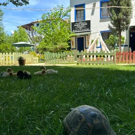 Hotel Sakliderebutikotel Edremit (Balikesir)