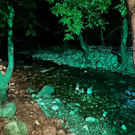 Sakliderebutikotel エドレミト