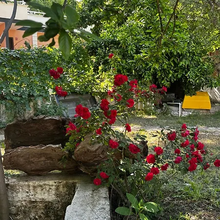 Sakliderebutikotel * Edremit (Balikesir)